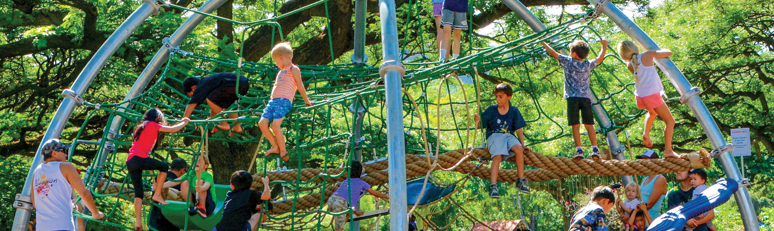 Swings and climbing for all ages at the Honolulu Zoo