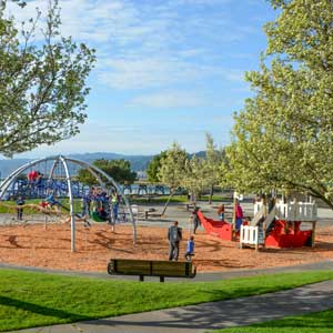 Large playground structure