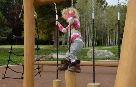 Confluence Park Playground Structure