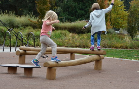 Confluence Park Playground Structure