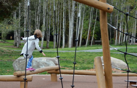 Confluence Park Robinia Structure